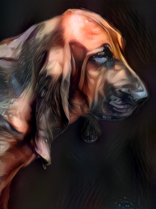 My bloodhound Barbie