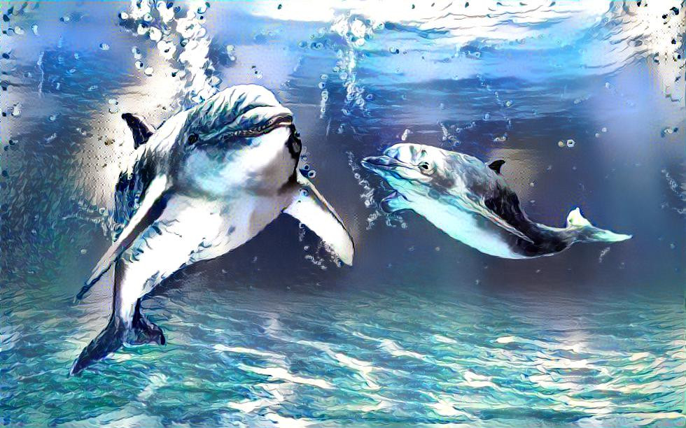 dolphins