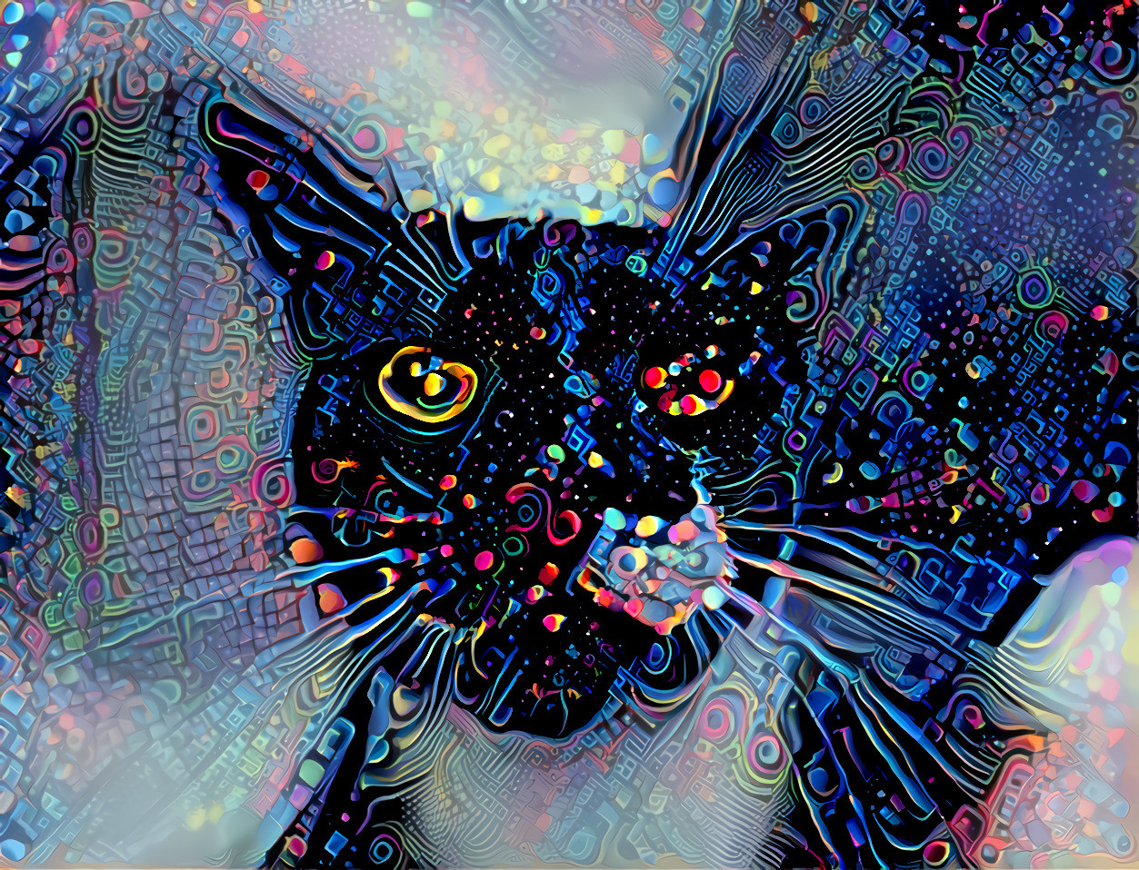 Trippy Cat