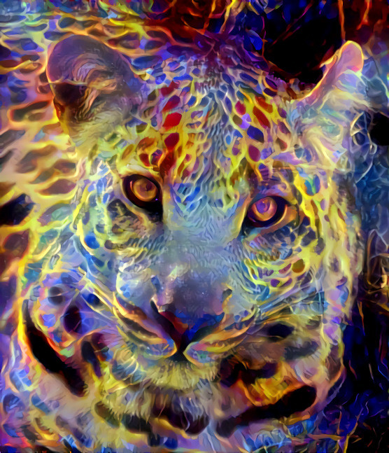 Psychedelic Leopard