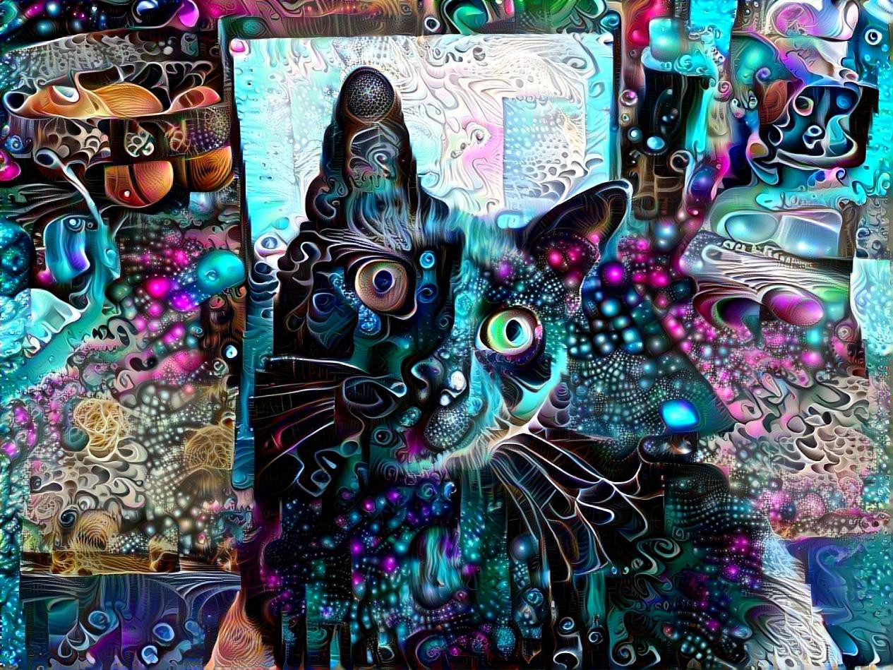 Surreal Kitty