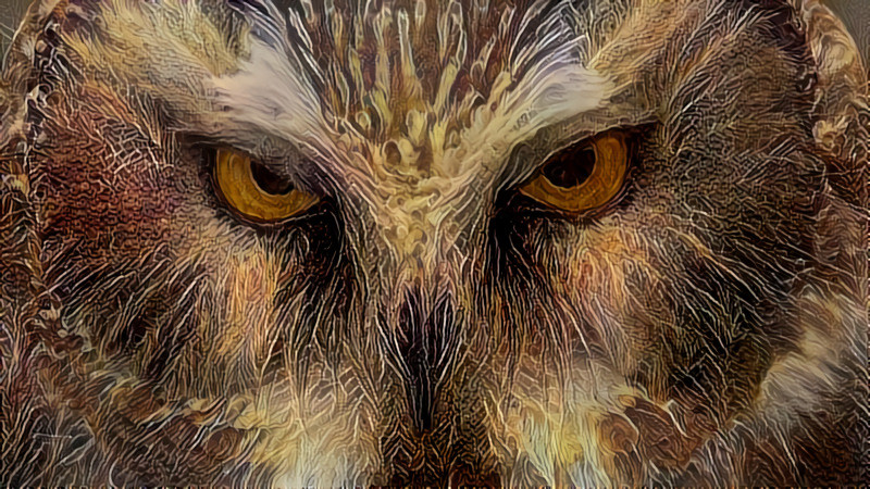 Deep Dream: Grey Owl