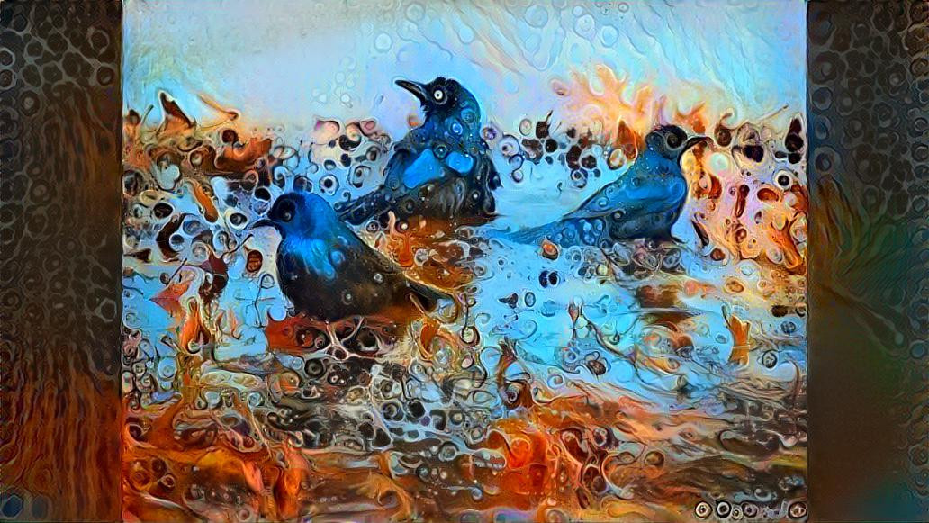 Bathing Grackles