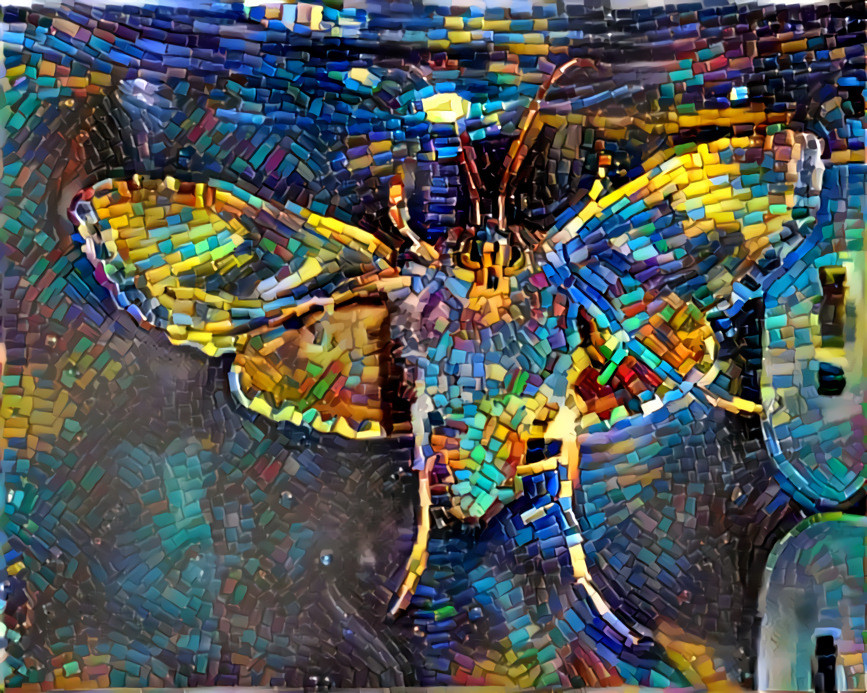 Moth Mosaic