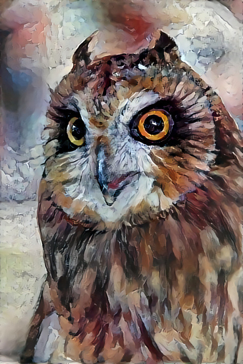 DDG Wise Old Owl