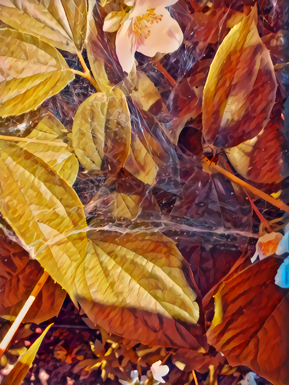 Warsaw (12/25): A spider's web in the garden of Warsaw University Library