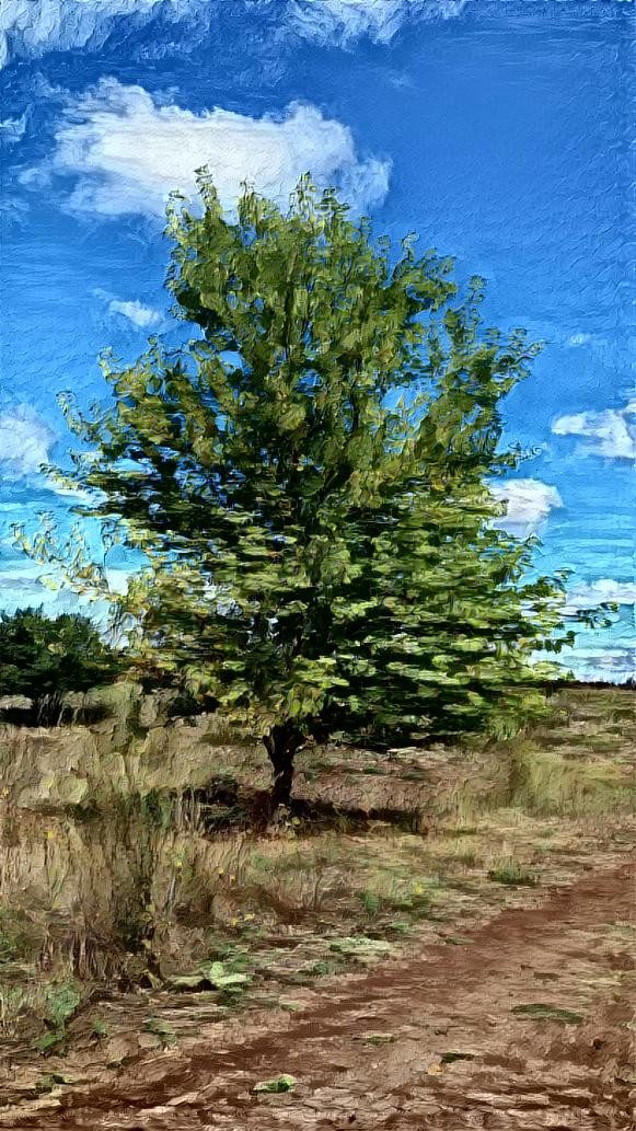 L'albero verde