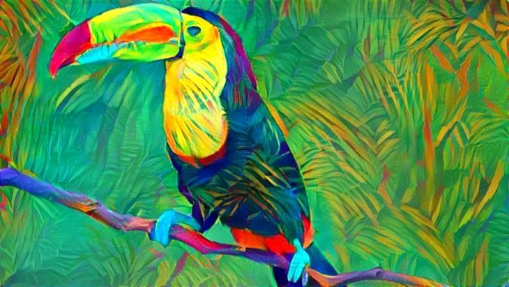 Toucan