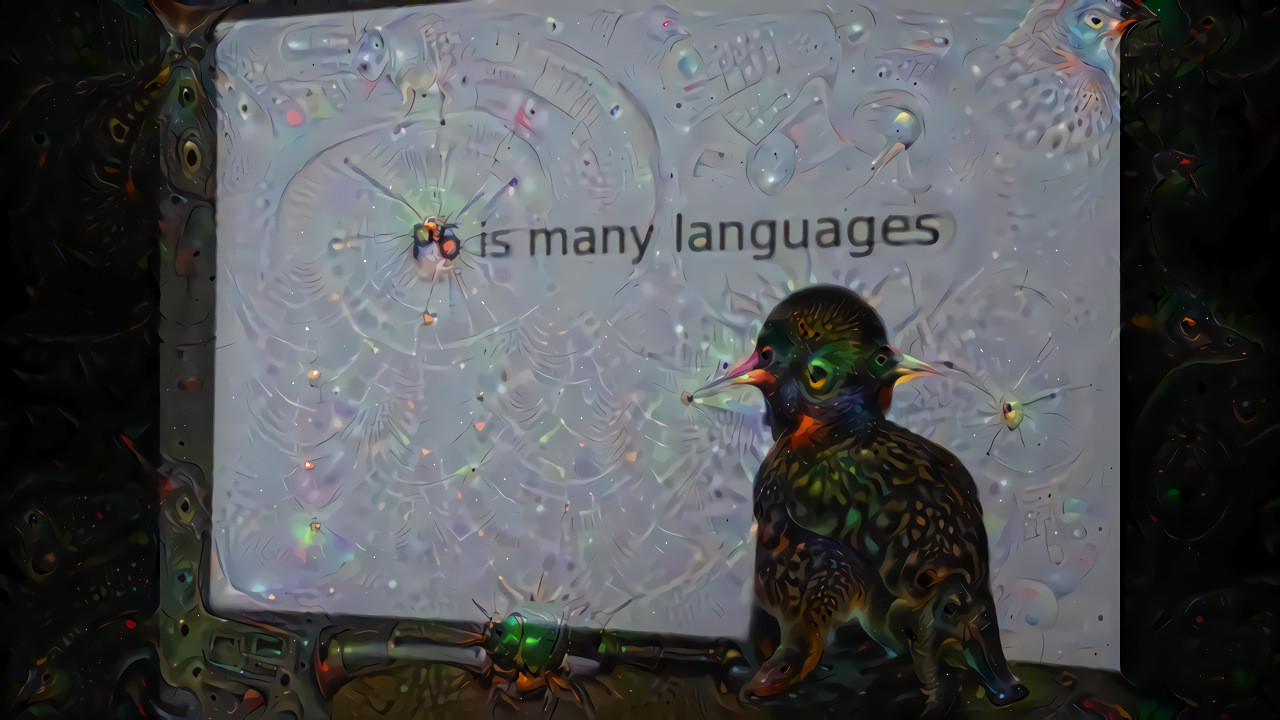 P6 is many languages