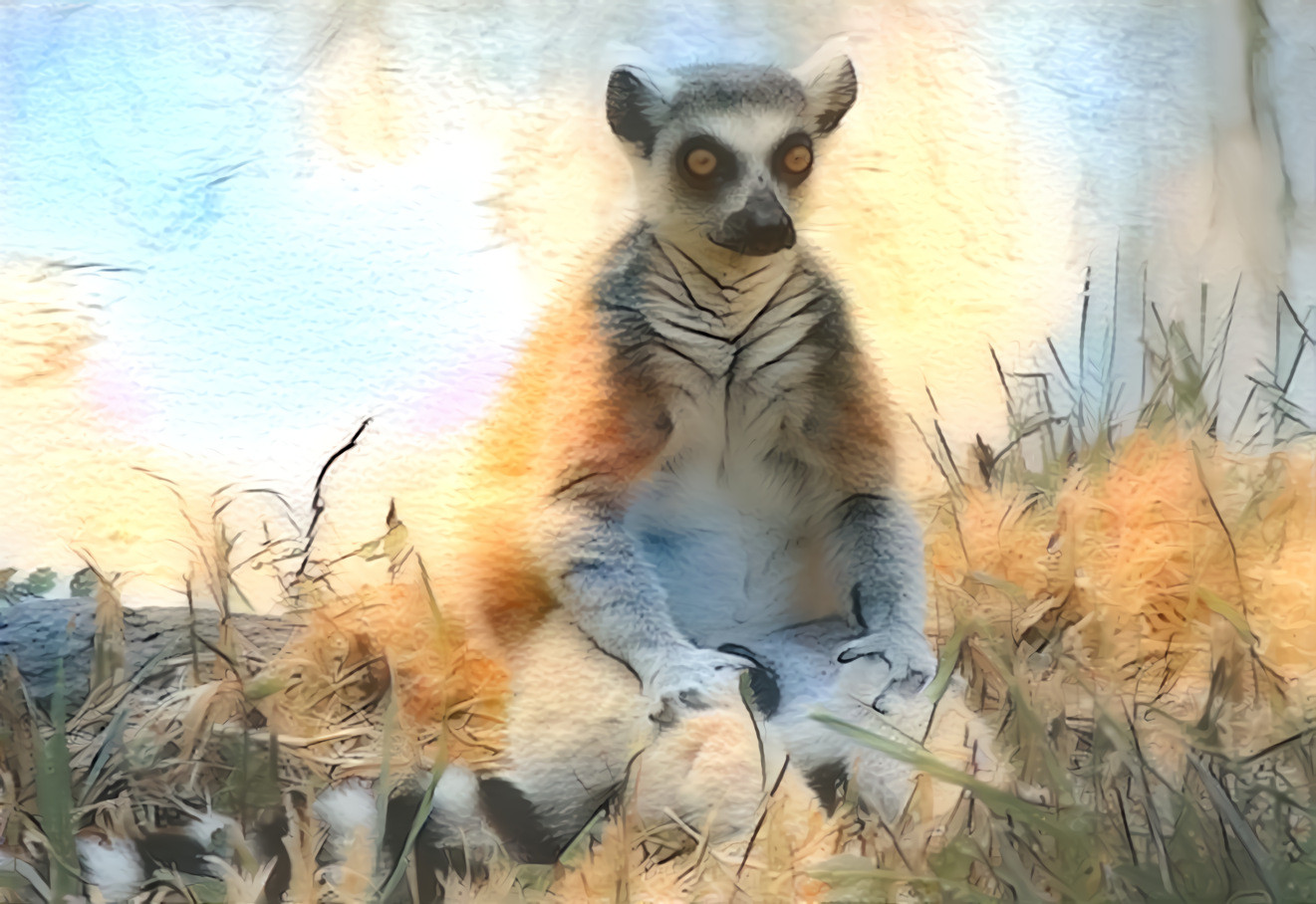 Lemur