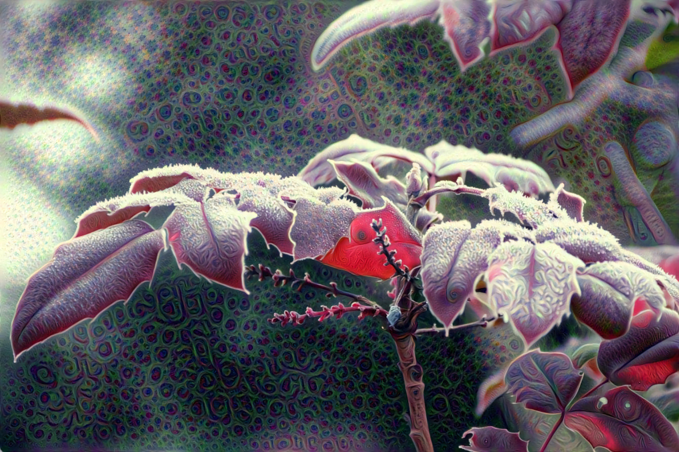 Frosted Red Leaves