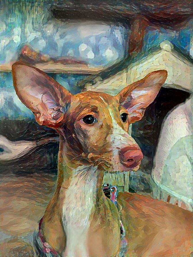 podenco in oils