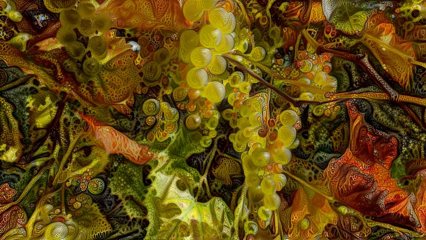 Grapes 