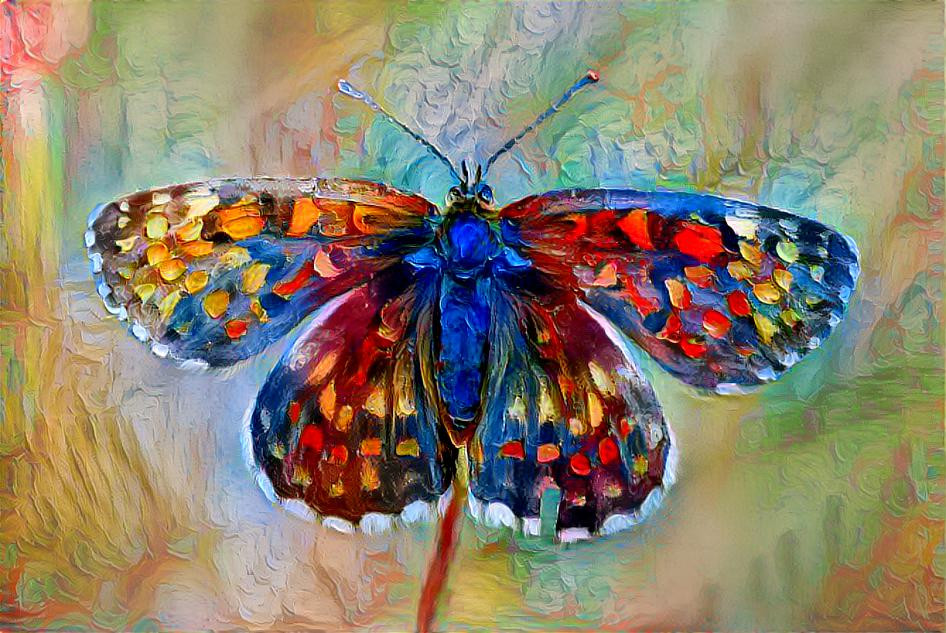 Butterfly