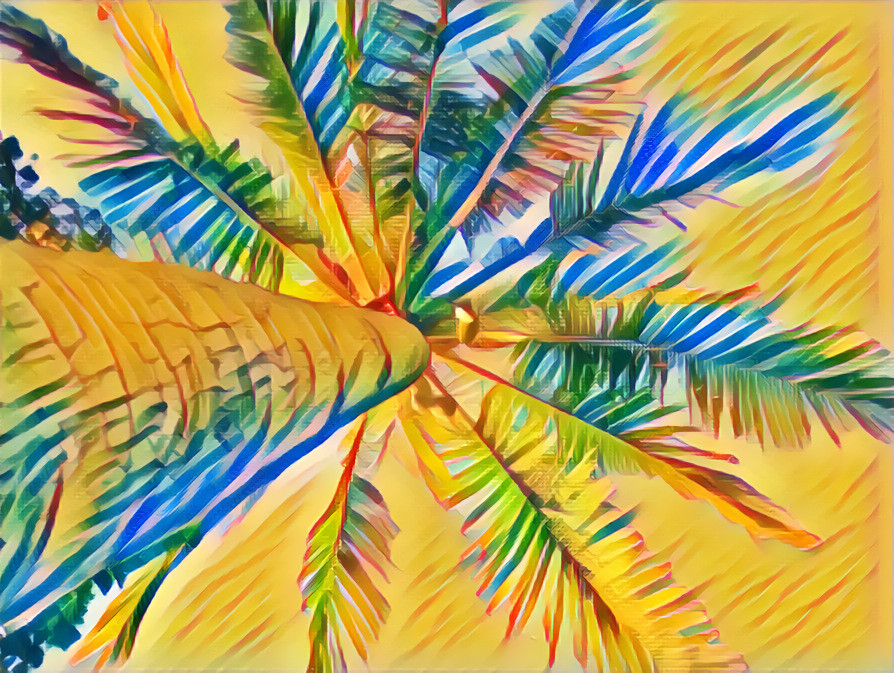 Palm