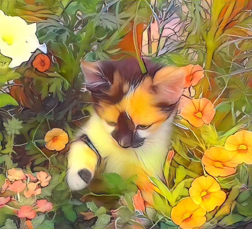 Flower Kitty