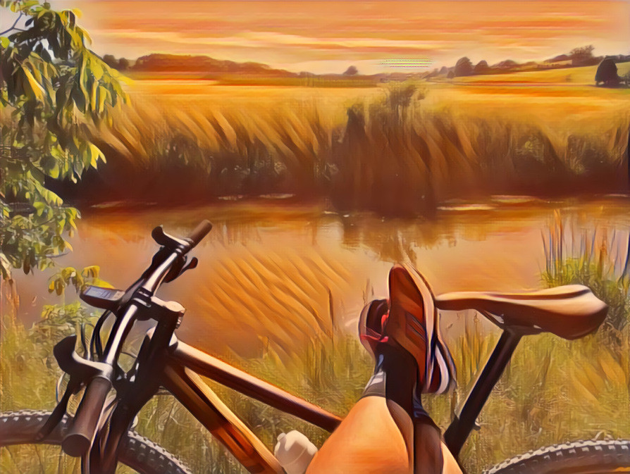 A Ride in the evenening sun