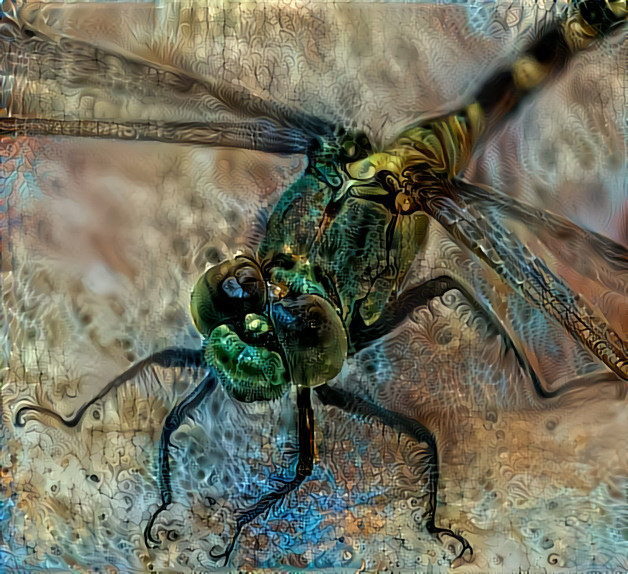 Smiling Dragonfly