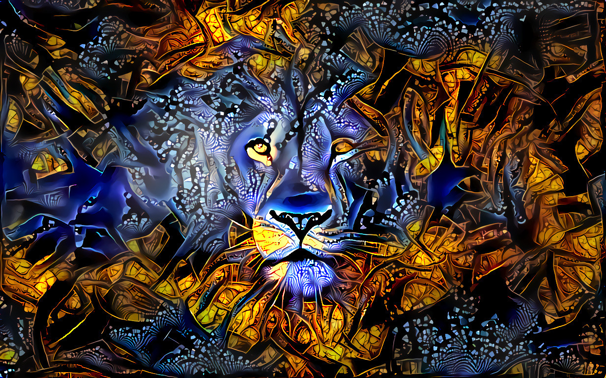 We run a group for Deep Dream Enthusiasts. If that's you, join us at Deep Dreamers on Facebook.