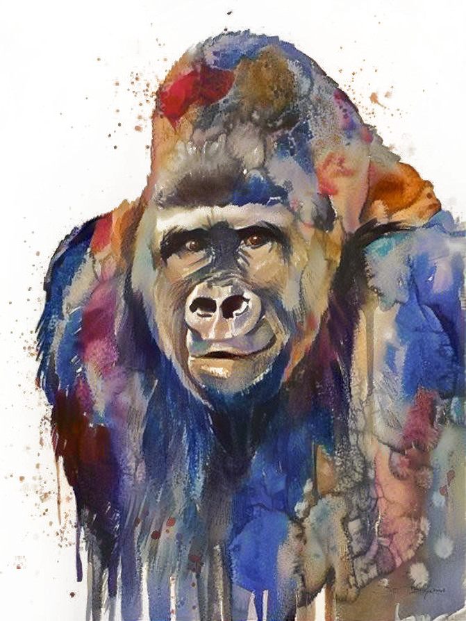 gorilla