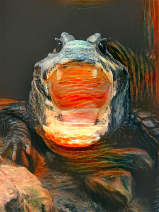 Caiman