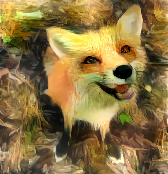 Smiling Fox