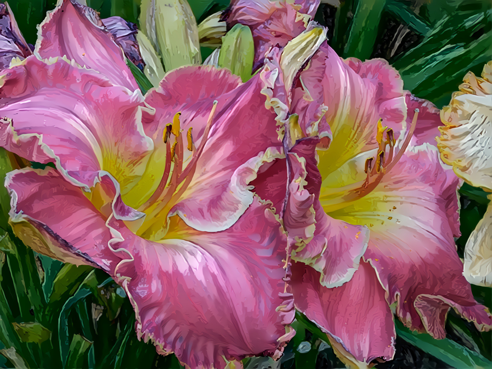 day lily