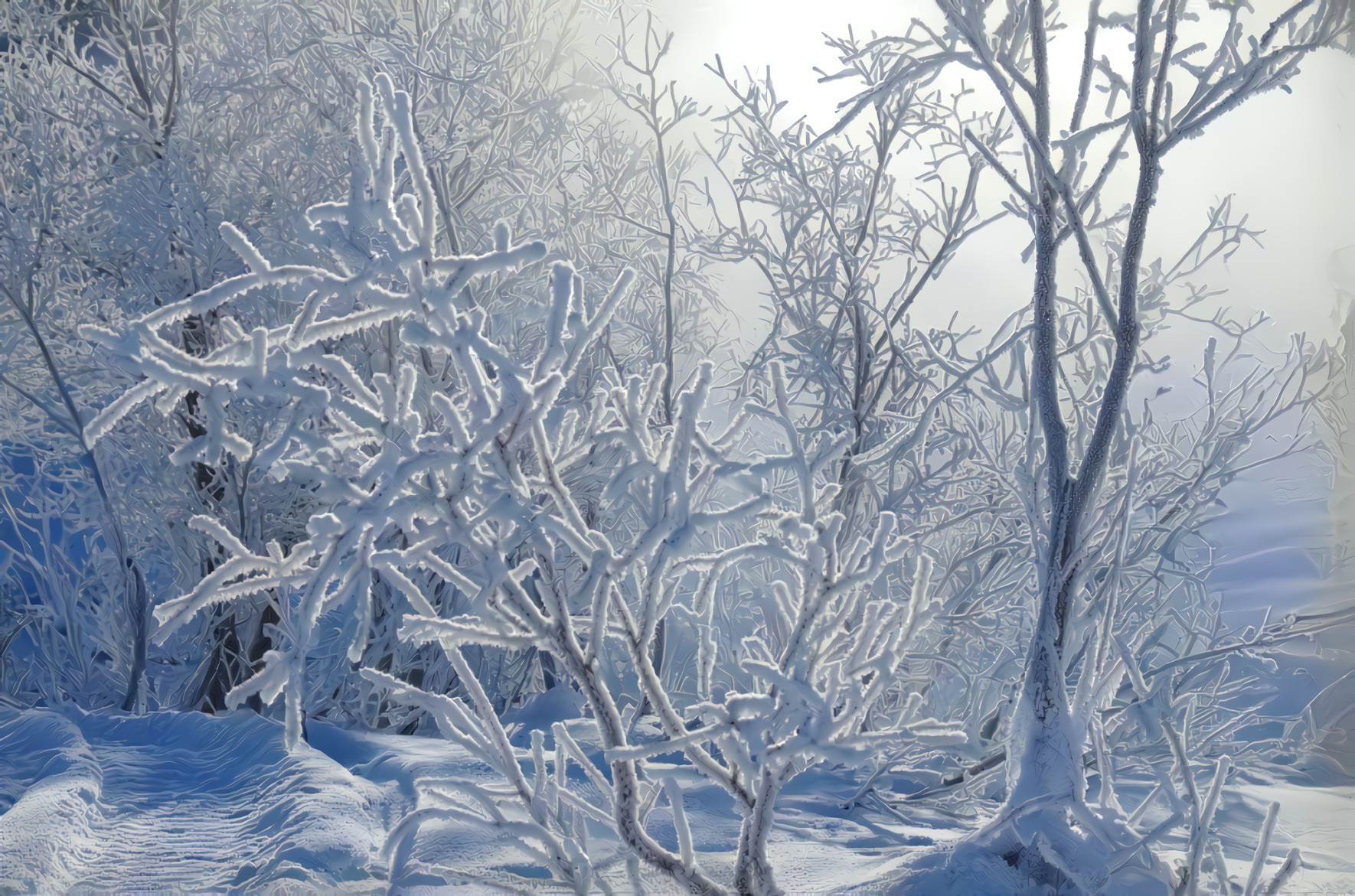 Winter Frost, Snow Trees