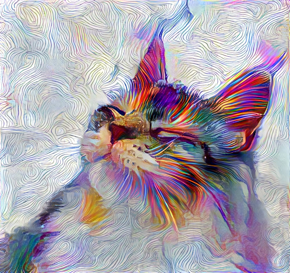 Catart