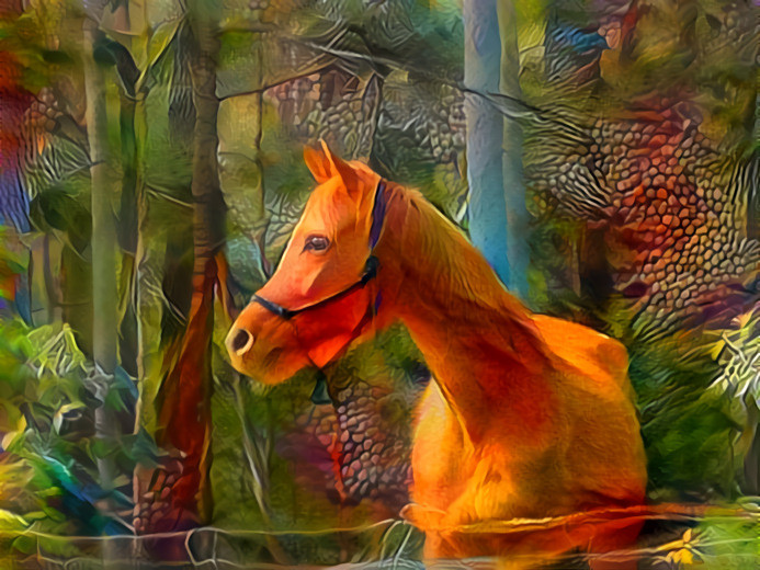 Horse