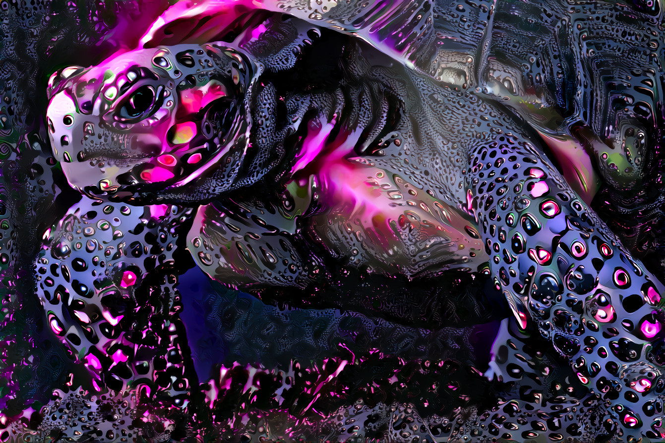 old turtle