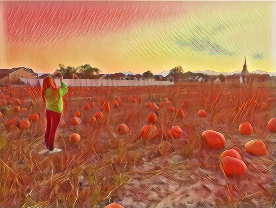 Pumpkin Patch