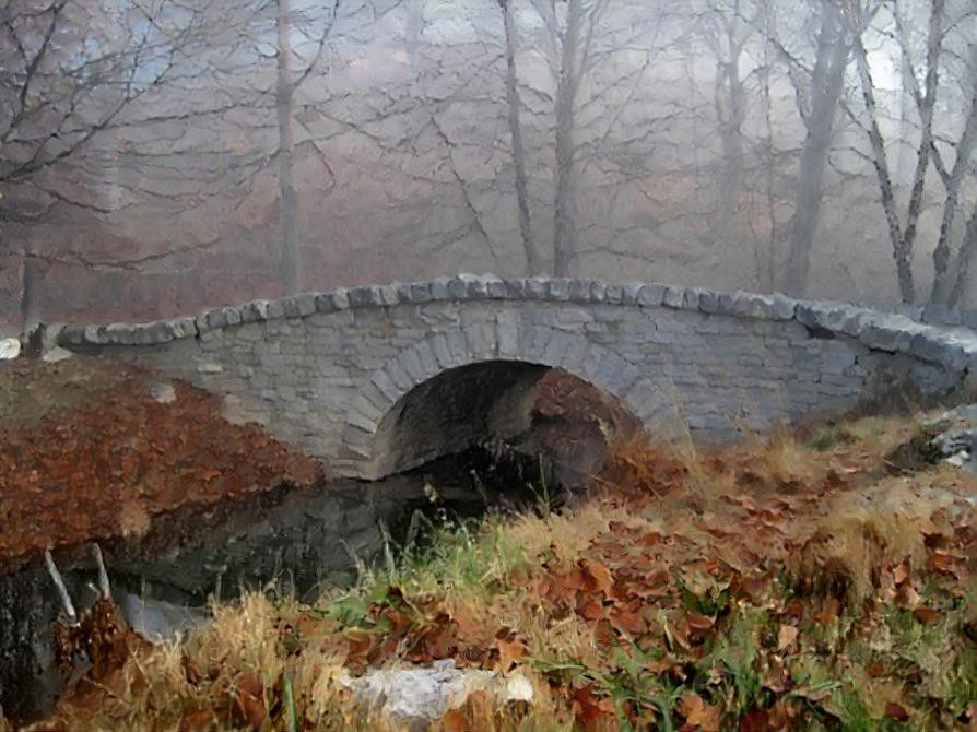 Autumn walk