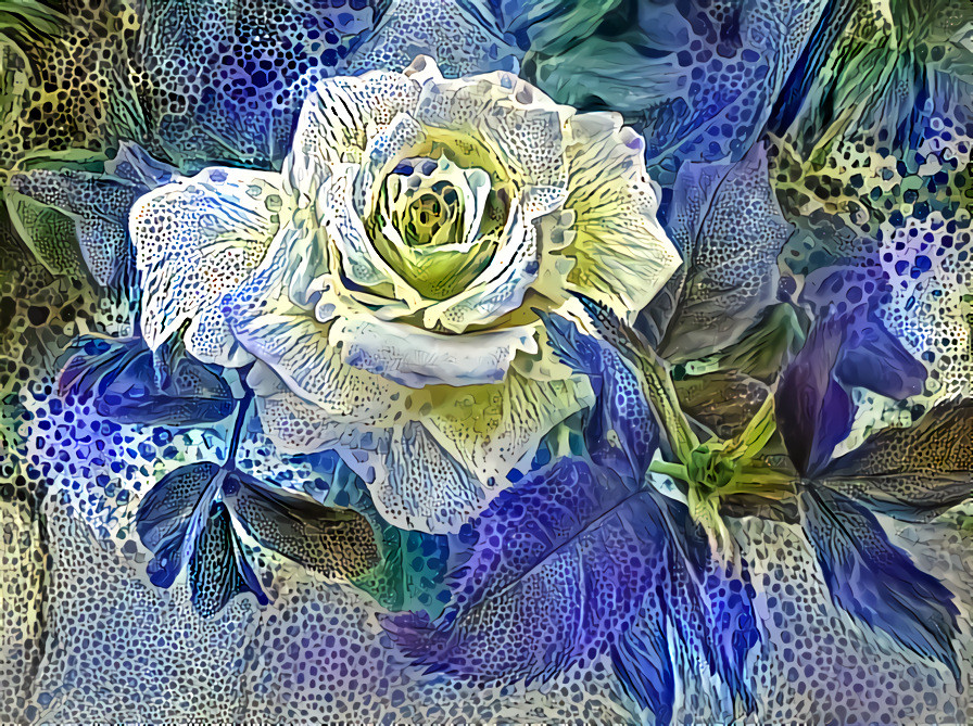 The Blue Speckled Rose