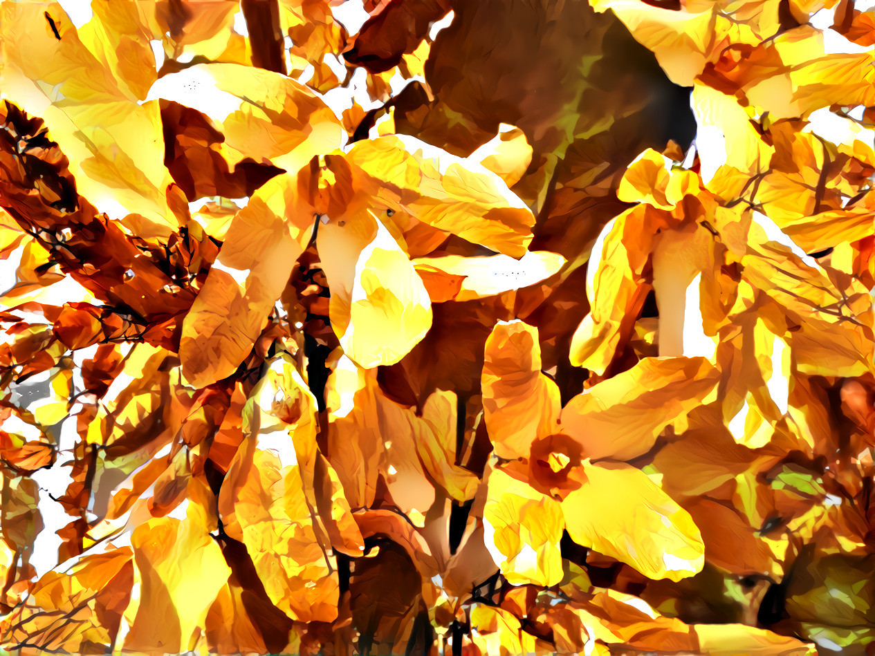 forsythia in spring styled with fall leaves