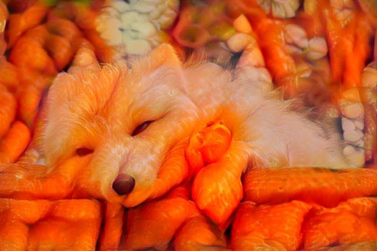 Carrot Fox