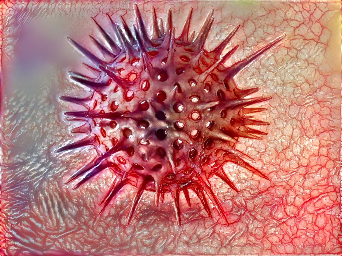 Virus