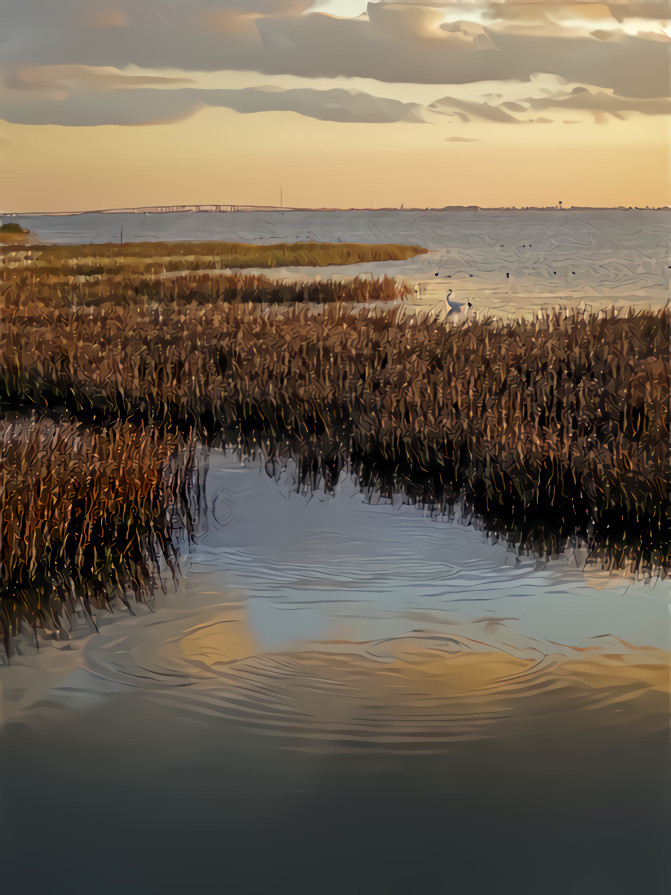 Laguna Madre, Sunset