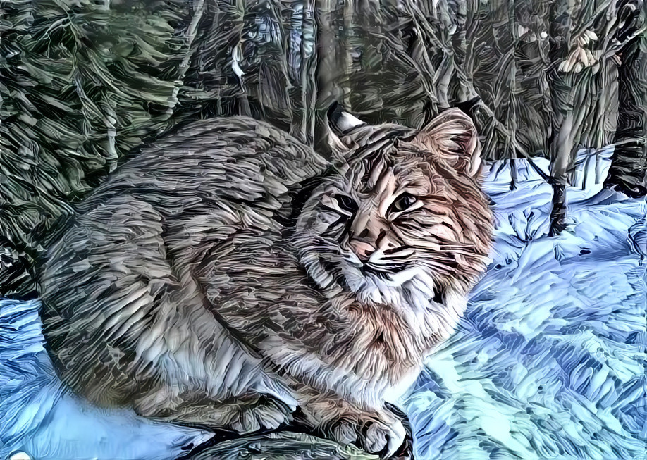 Bobcat