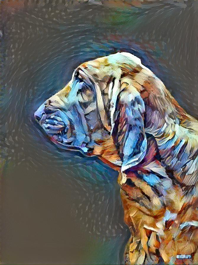 My bloodhound girl Norma