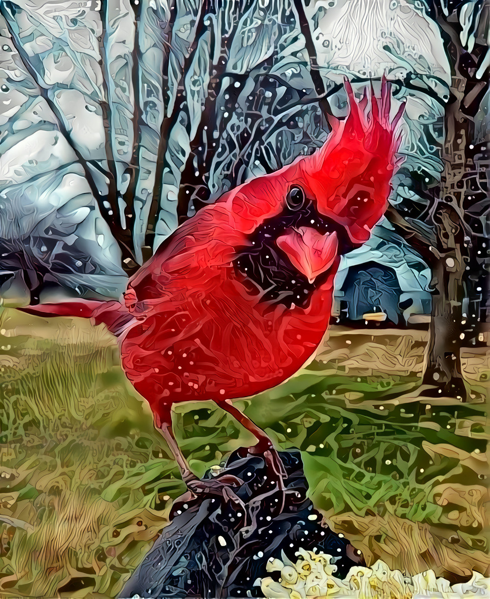 “When a cardinal appears in your yard, it's a visitor from heaven.”