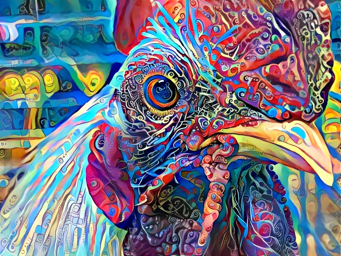 Chicken