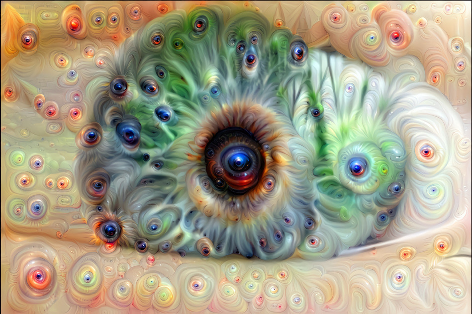 Eye