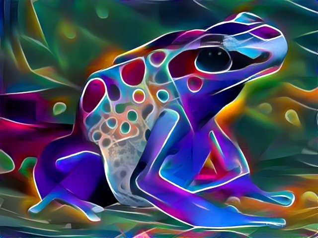 Poison dart frog