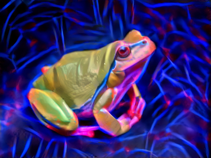 frog