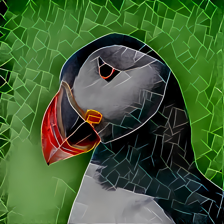 Puffin