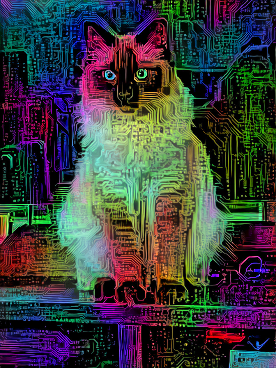 Rainbow circuitboard cat