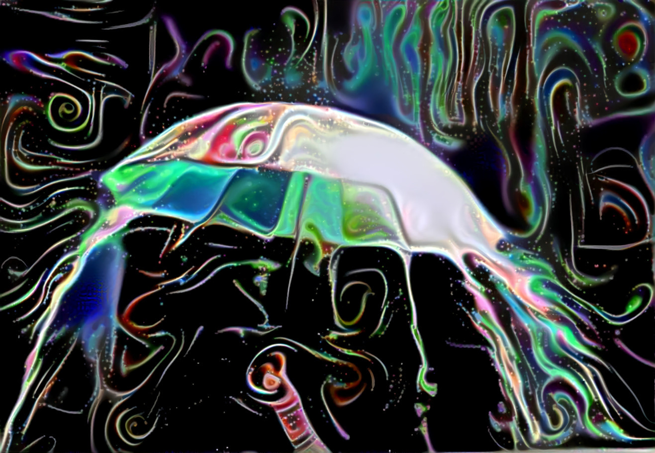 The Umbrella 