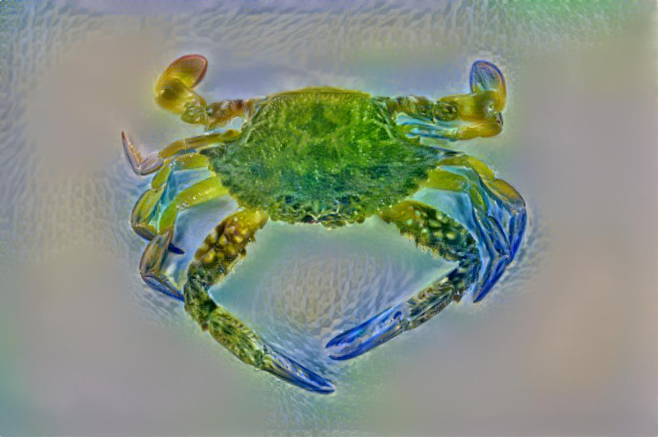 crab 08