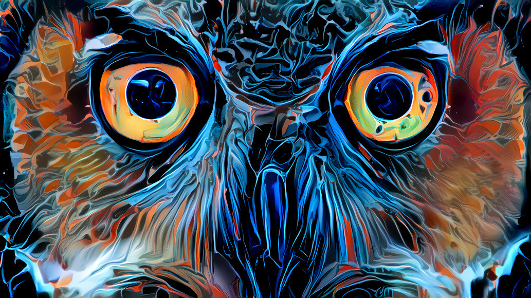 Owl Portrait